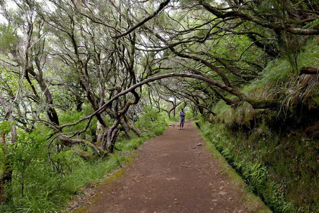 Explore Açores and Madeira with My Bookpack